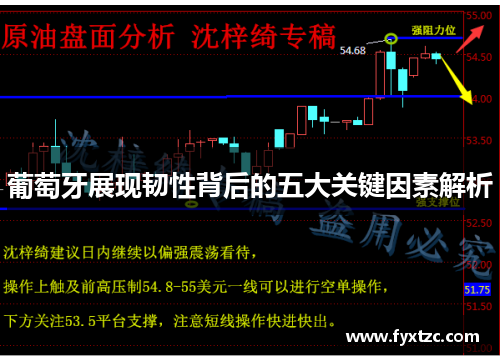 葡萄牙展现韧性背后的五大关键因素解析