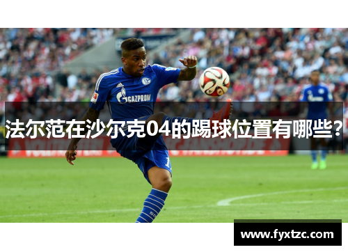 法尔范在沙尔克04的踢球位置有哪些？