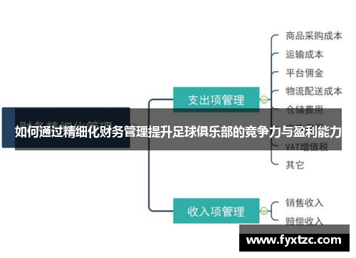 如何通过精细化财务管理提升足球俱乐部的竞争力与盈利能力 如何通过精细化财务管理提升足球俱乐部的竞争力与盈利能力